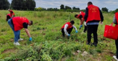 【市城市燃熱集團富泰熱力】公司黨委組織開展除蒿草清垃圾志愿服務(wù)活動